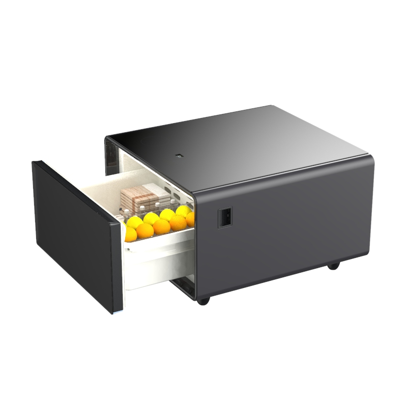 Kulkas Kecantikan untuk Makeup - Beauty Makeup Fridge ulasan dan harga